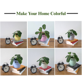 Decor 5 (5 Inches, pack of 6), 6 Color Pots